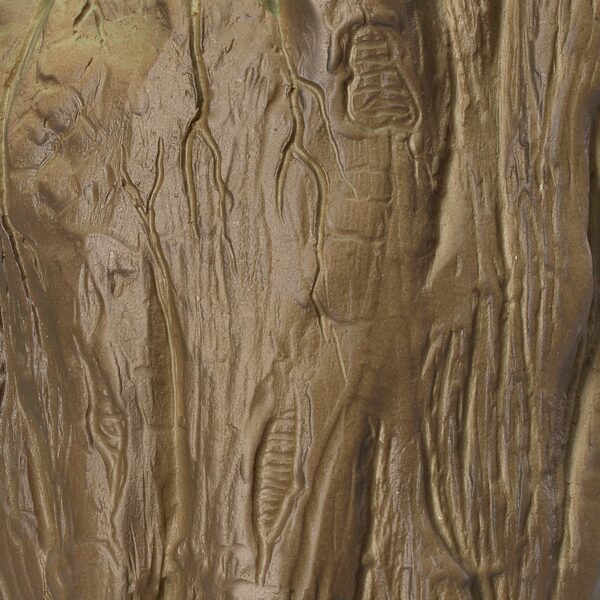 40005 Huasca - Imagen 4