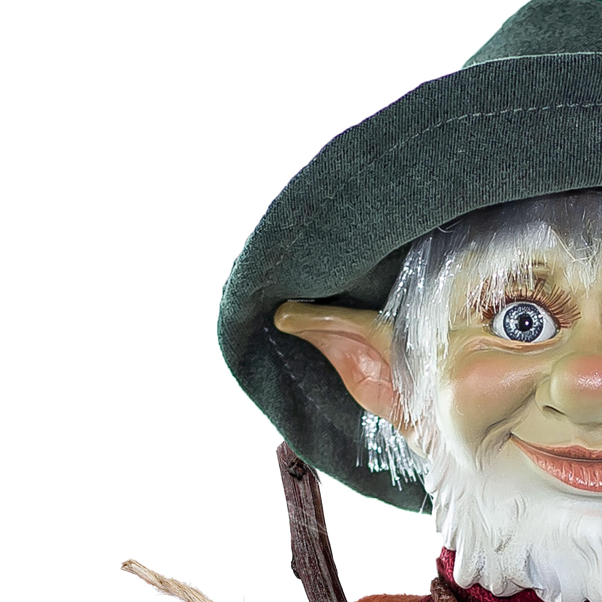 41001 Dagda - Imagen 6