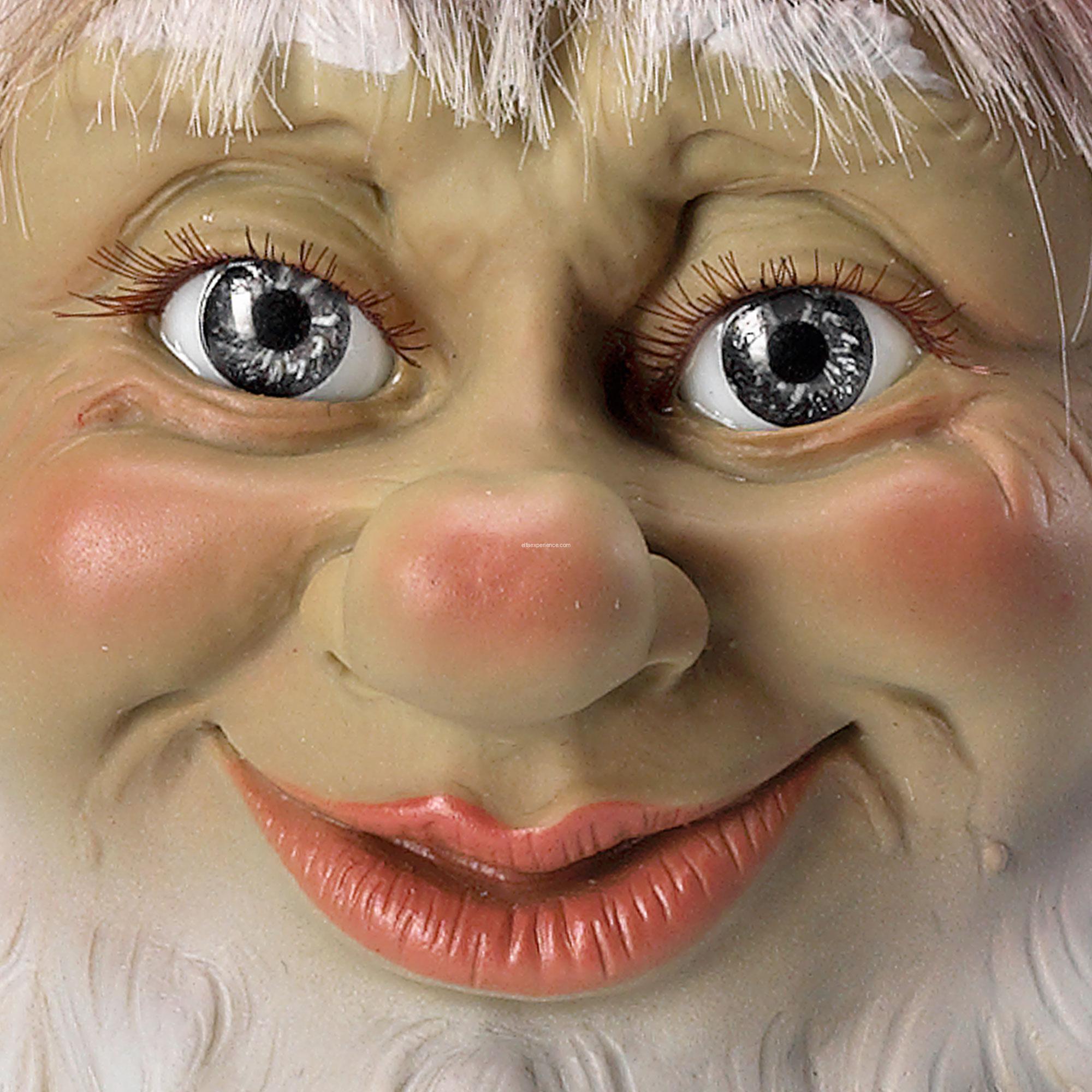 41001 Dagda - Imagen 9