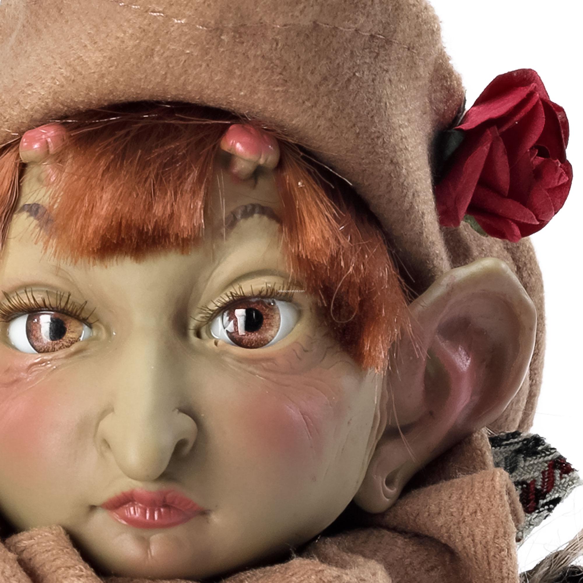 41003 Caer - Imagen 3