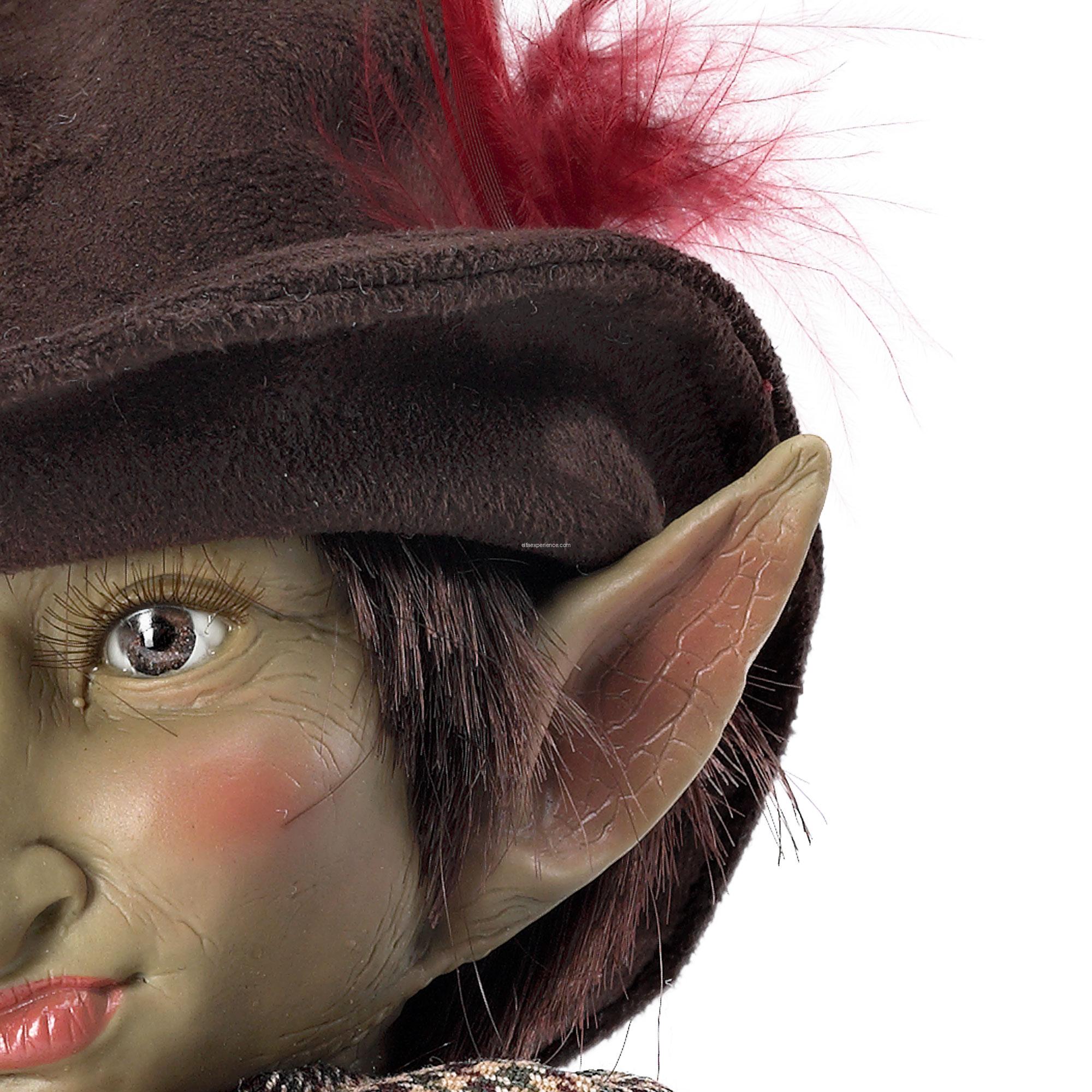 41004 Pwill - Imagen 3