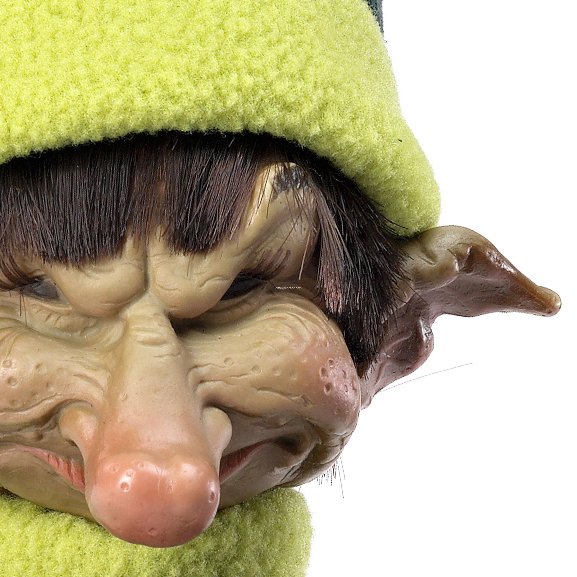 41007 Kelpie - Imagen 4