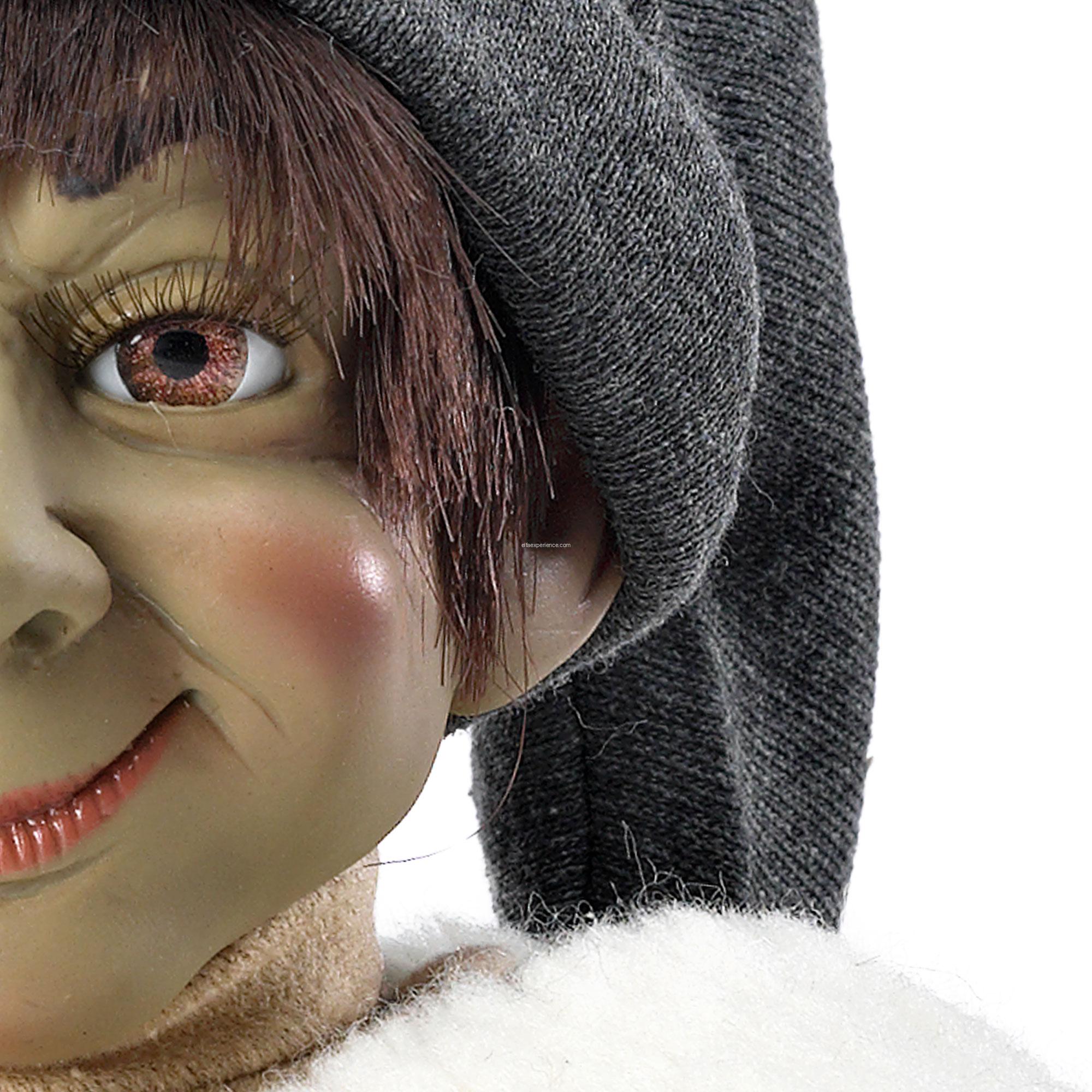 41014 Dagowill - Imagen 4