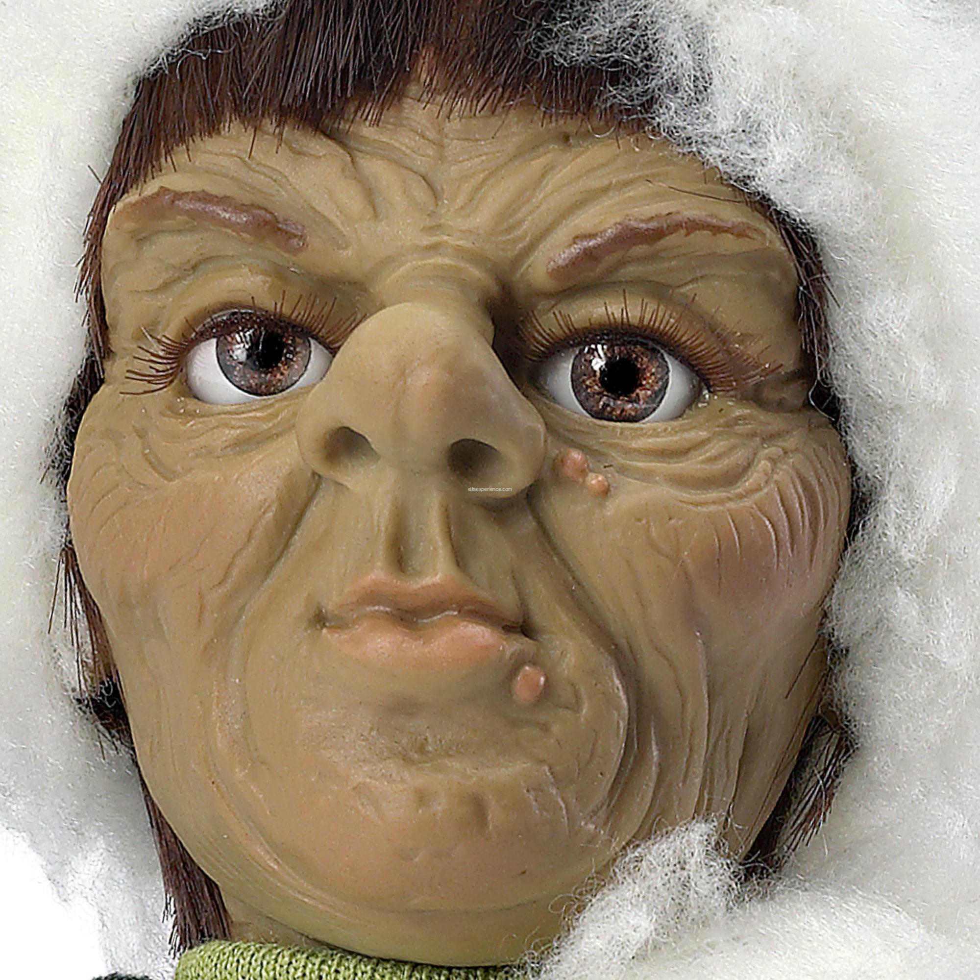 41016 Teix - Imagen 4