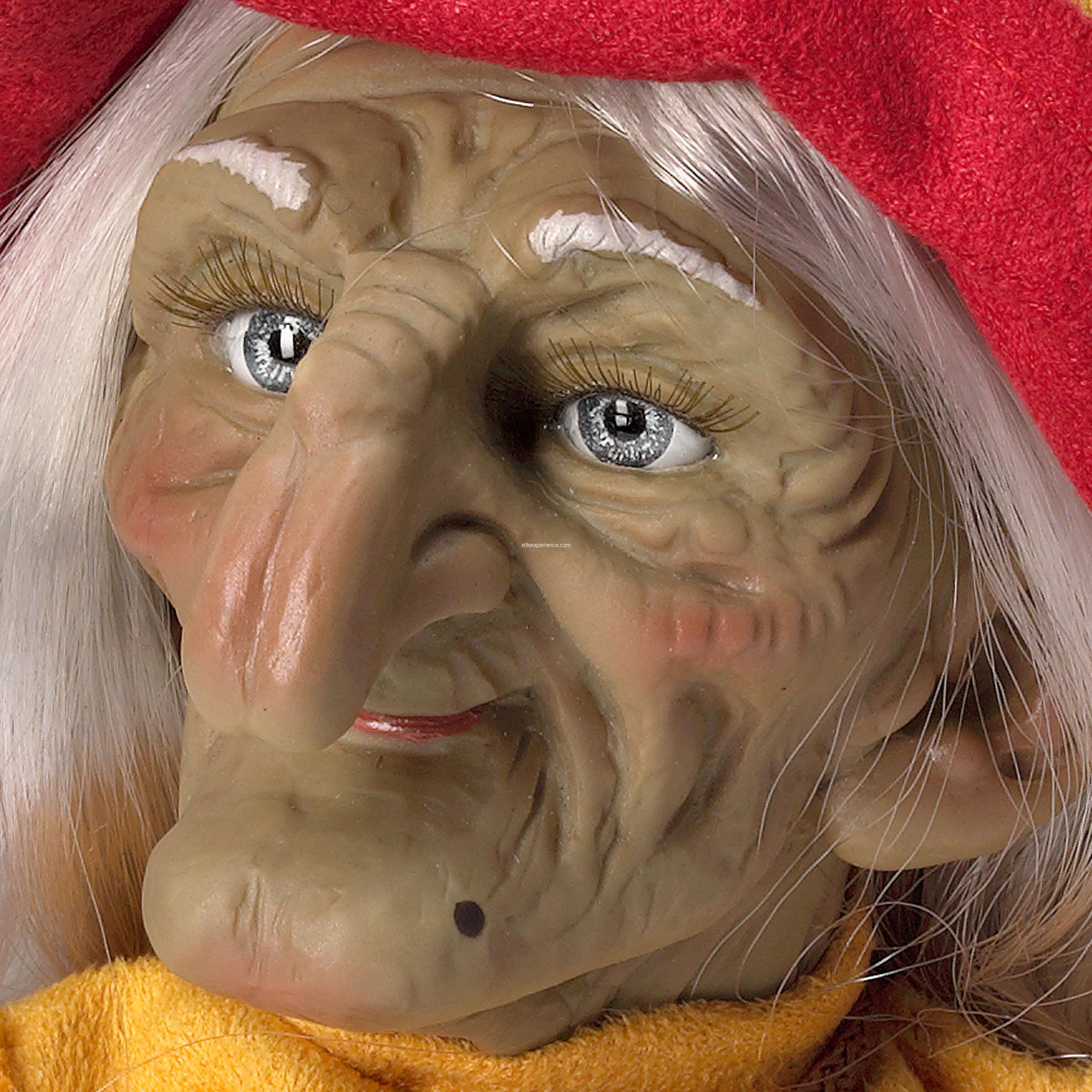 41017 Bruixeta - Imagen 4