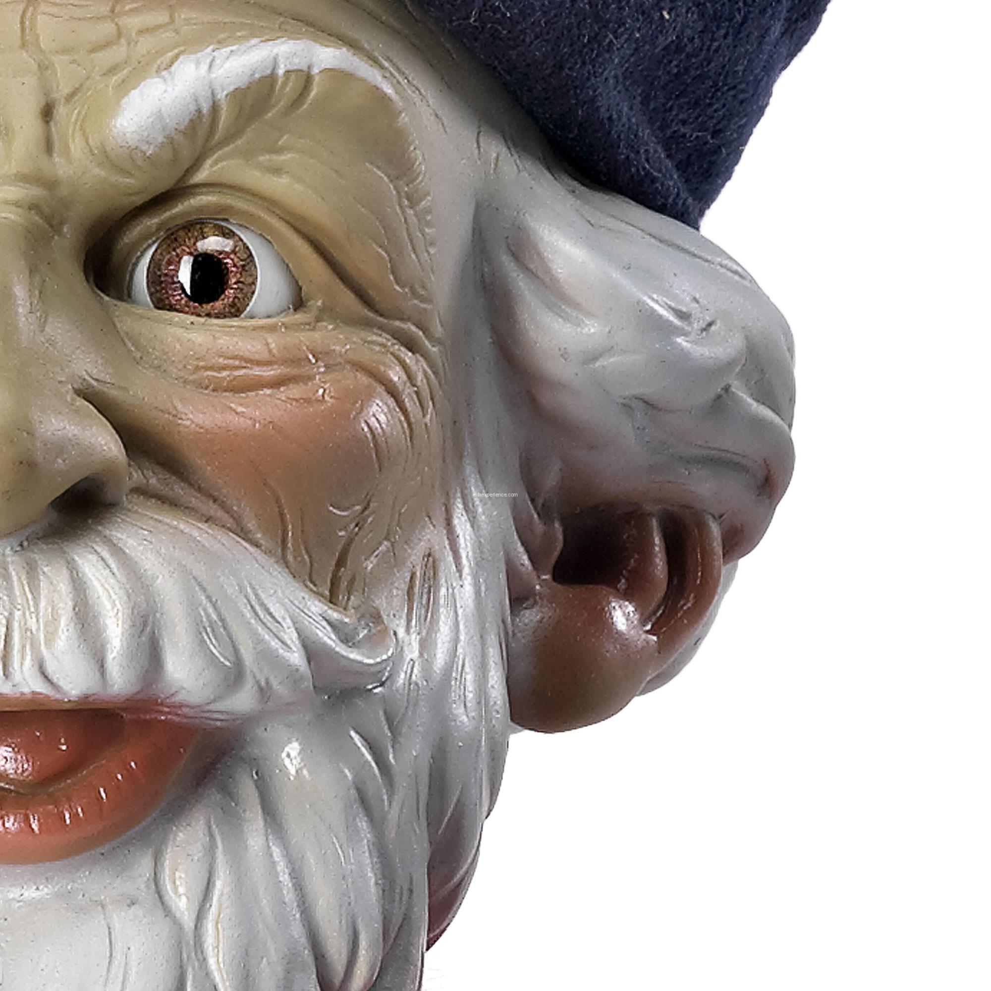 41019 TaliesÃn - Imagen 4