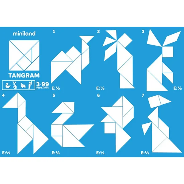 31727 SET 12 TANGRAMS - Imagen 4