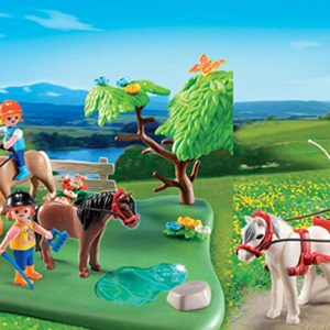 5457 Compact set Aniversario country