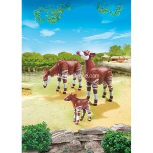 6643 Familia de Okapis