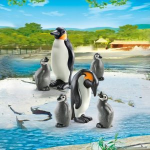6649 Familia de pingüinos
