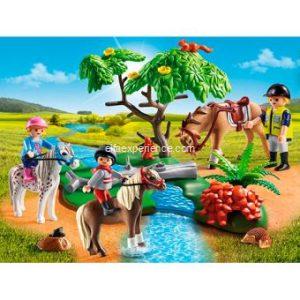 6947 Paseo de Ponis en el campo