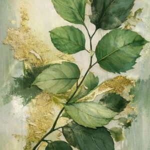 .ELFA-PLANTAS-0001-A