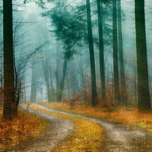 PAISAJES 145