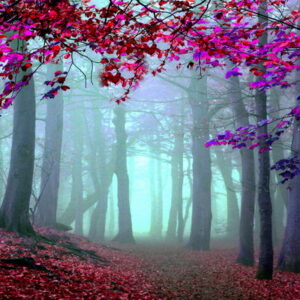 PAISAJES 145