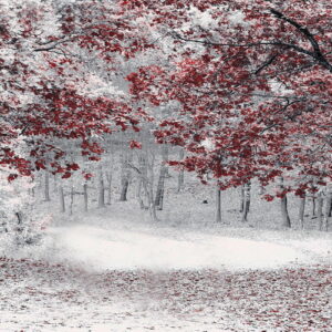 PAISAJES 148