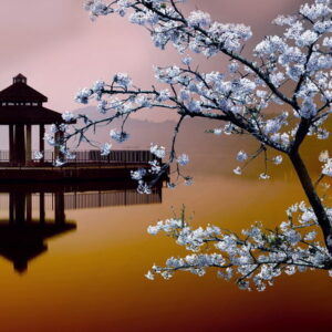 PAISAJES 215