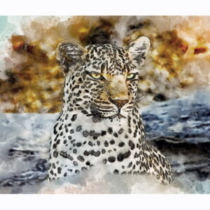 SELVA-6