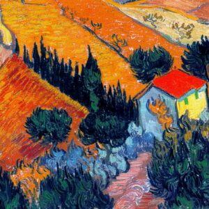 VAN GOGH 14