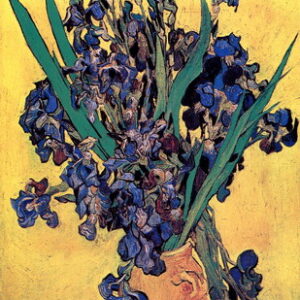 VAN GOGH 20