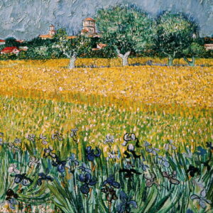 VAN GOGH 22