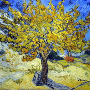 VAN GOGH 30