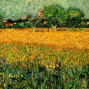 VAN GOGH 4