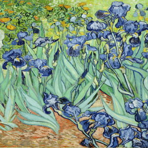 VAN GOGH 8