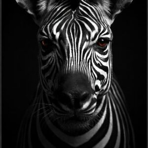 .ELFA-ZEBRAS-0012-A