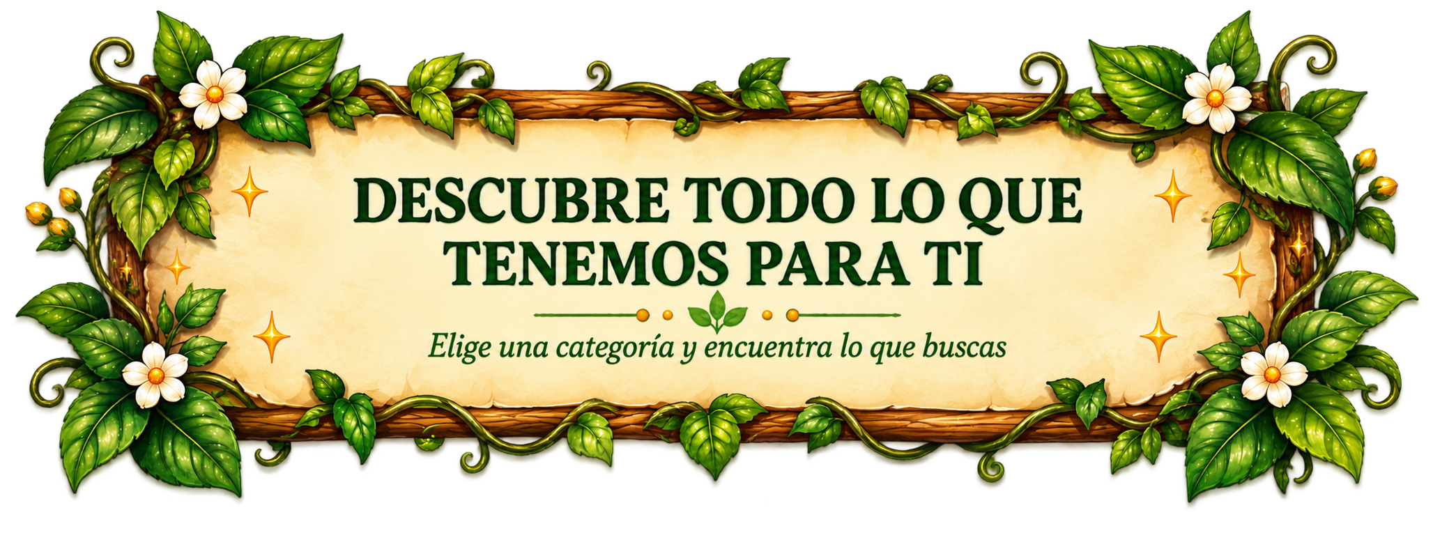 Descubre todo lo que tenemos para ti - Elfa Experience